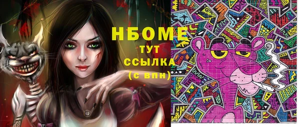 гидра Магас