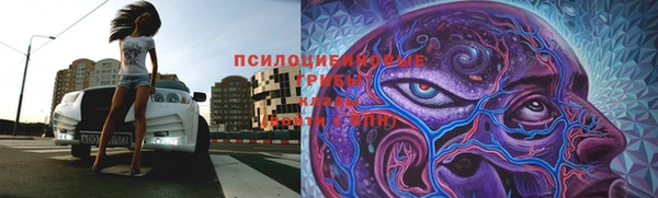 тгк Лихославль