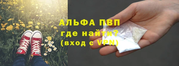 ГАЛЛЮЦИНОГЕННЫЕ ГРИБЫ Липки