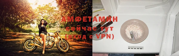 ГАЛЛЮЦИНОГЕННЫЕ ГРИБЫ Липки