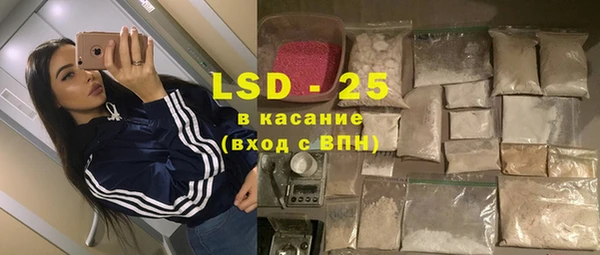 ГАЛЛЮЦИНОГЕННЫЕ ГРИБЫ Липки
